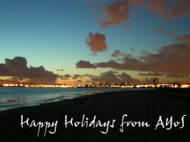 Happy Holidays from AYoS