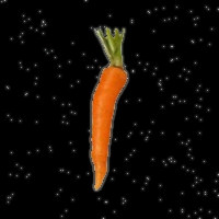 Carrot